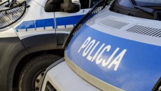 W ubiegłym roku podczas czterech dni listopadowego, świątecznego weekendu doszło do 338 […]